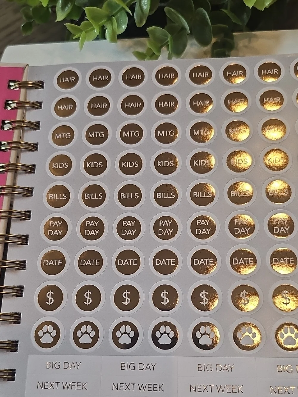 Busy Overthinking 2026 Weekly Planner - White with Multicolor Dots NWT